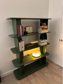 Modern Green Bookshelf – 5 Tier Urban Outfitters Shelf (Like New)