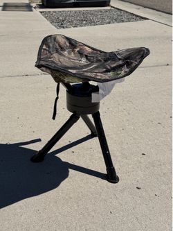 Bird and buck swivel chair