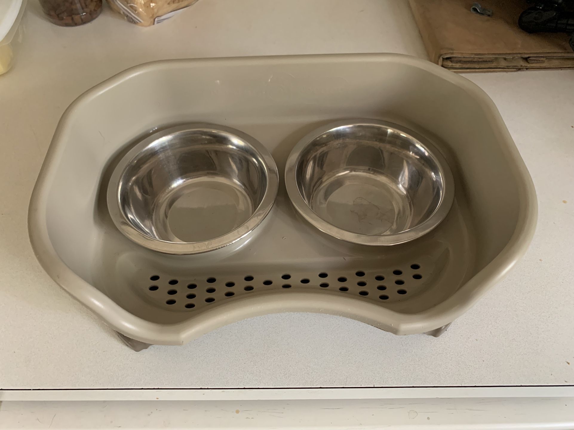Dog Feeding Station
