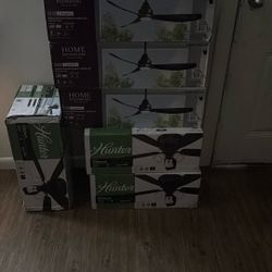 Ceiling Fans