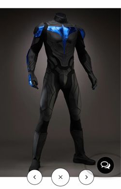 Night Wing Costume
