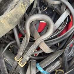 Horse Harness 