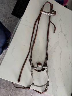Horse bridal w/silver