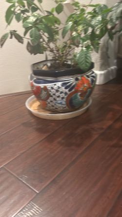Gardinia Flower + Talavera Ceramic Planter with Saucer