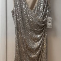 Silver Sequin Dress  - Size 16  - Never Worn
