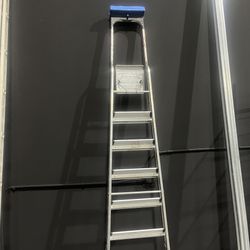 Painter Ladder 8.5 Feet 8 Steps