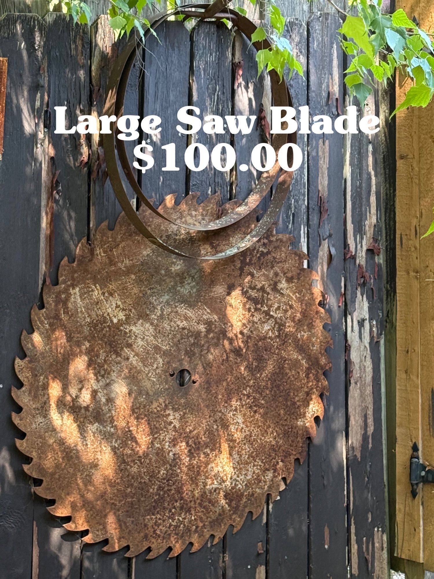 Old Saw Blade