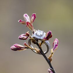 Wedding / Engagement Ring - Mars Company