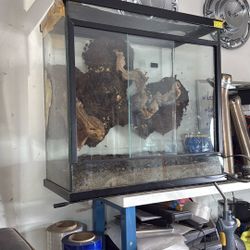 Reptile Tank