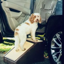 SuperTraX Pet cat dog ramp Lightweight Portable Sturdy Mobility