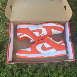 Nike Dunks Size 10