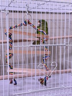 Half Moon Parrot Bird Cage