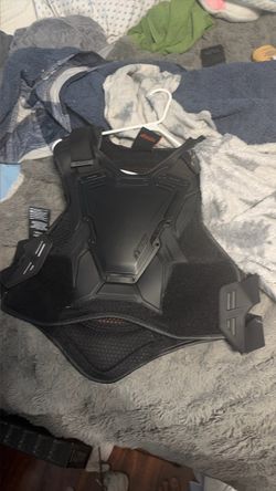 Icon Field Armor 3 Vest and Dainese Unruly Ergo-Tek Gloves