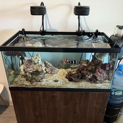 50 Gallon Saltwater Tank And Stand