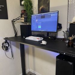 Computer And Standing Desk 