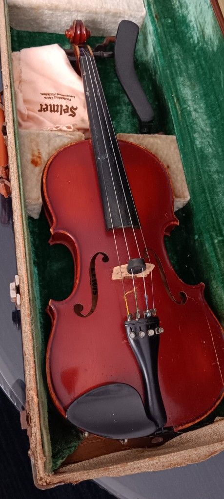 Violin