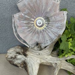 Murano Style Decorative Bowl