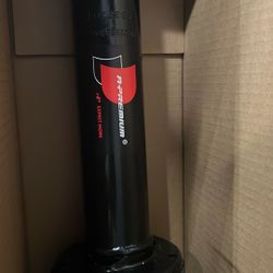 2015 BMW X5 Strut Coil