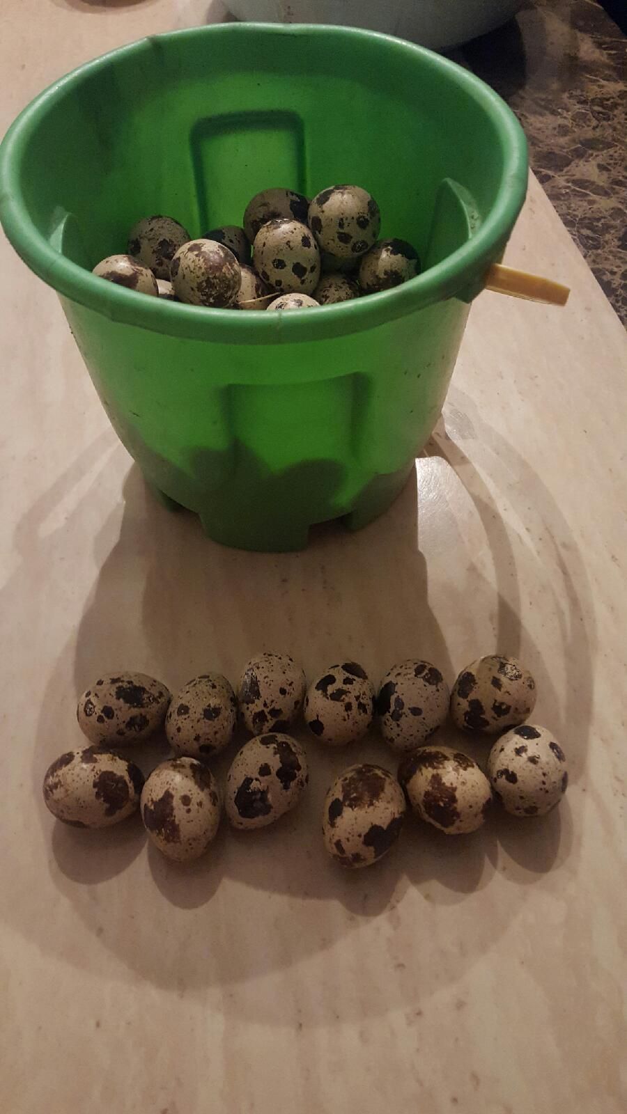 Gordonise eggs
