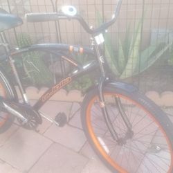 Beach Cruiser 24