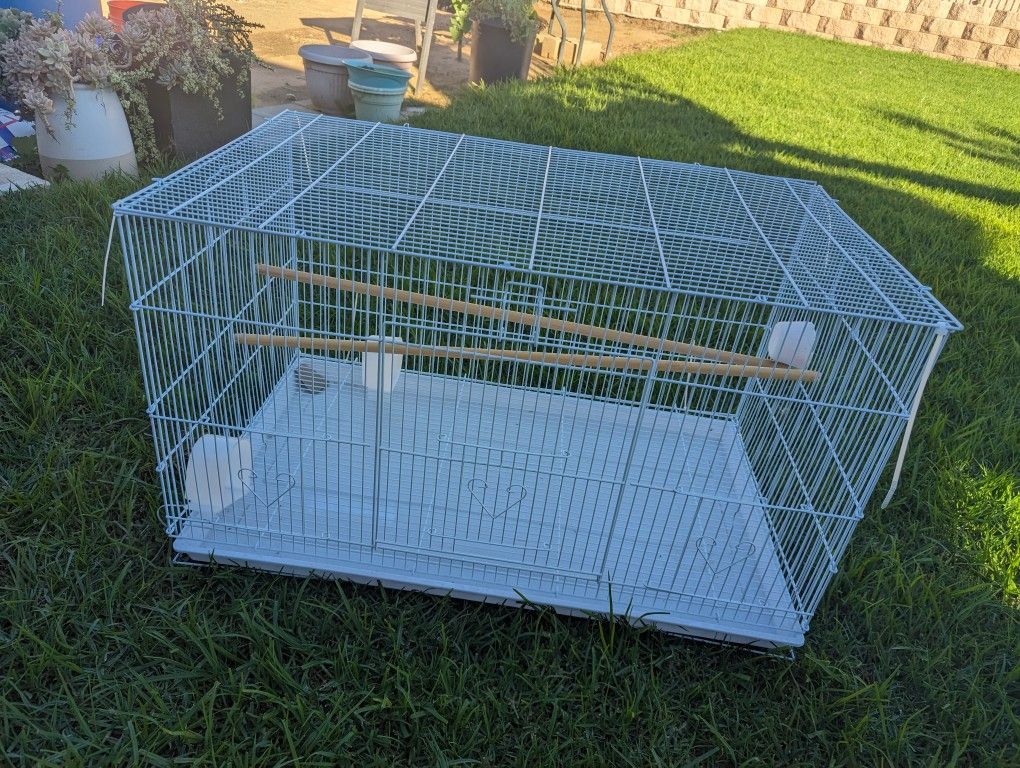 Bird Cage