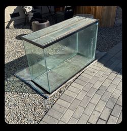 110g fish tank