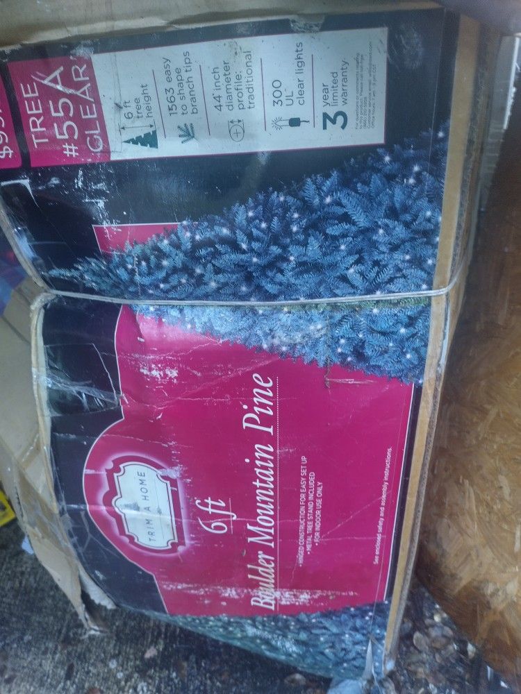 6 Feet Boulder Mountain Pine Tree