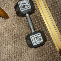 Single 30lb Dumbbell 