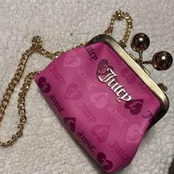 Juicy Little Bag 