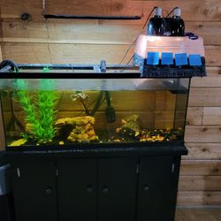 75 Gallon Aquarium 