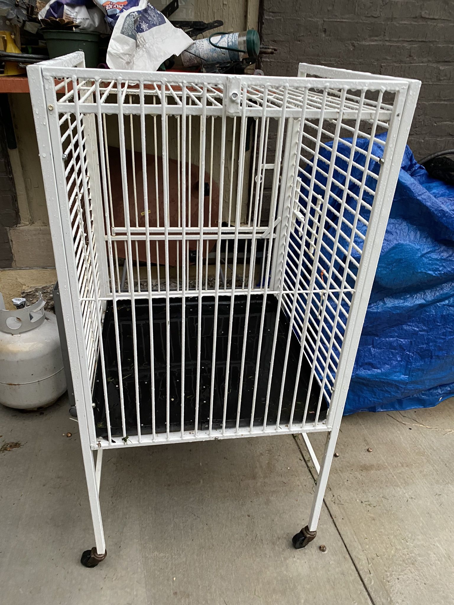 Large White Bird Cage