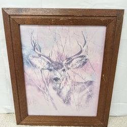 Deer Portrait In Wooden Frame