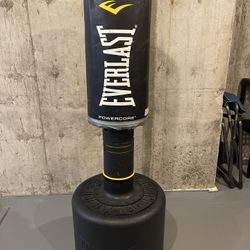 Everlast Powercore Punching Bag