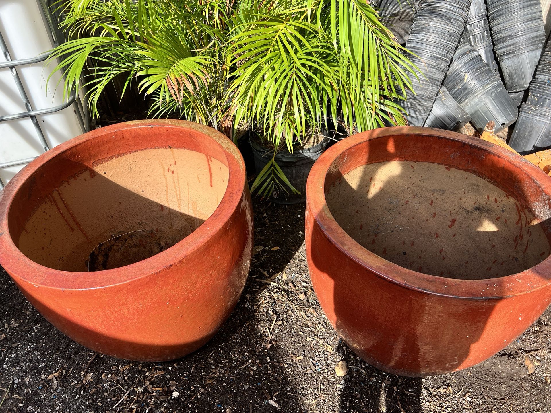 Extra Large Plant Pots for Sale in Fort Lauderdale, FL OfferUp
