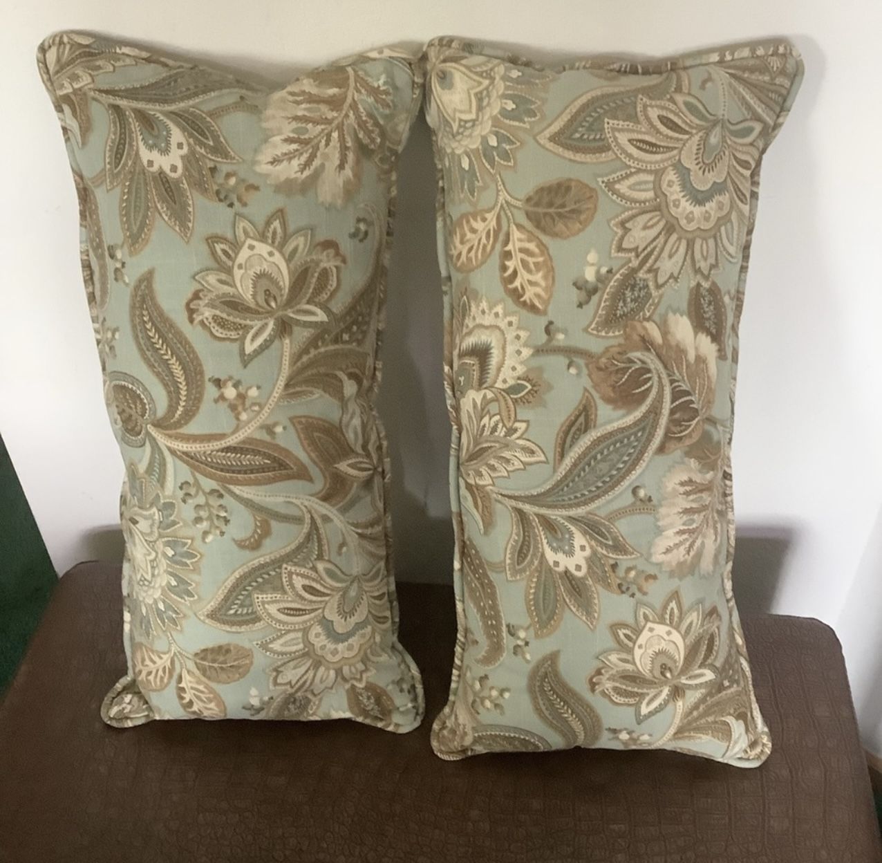 Pair of Paisley Pillows