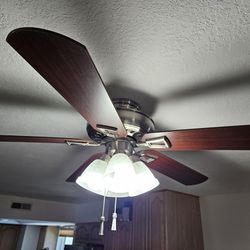 2 Matching 48 Inch Ceiling Fans/Lights