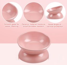 Cat Small Pet Bowl