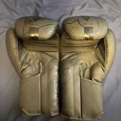 Rdx Boxing Gloves