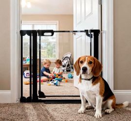 Black Metal Baby Safety Gate with Clear Panel