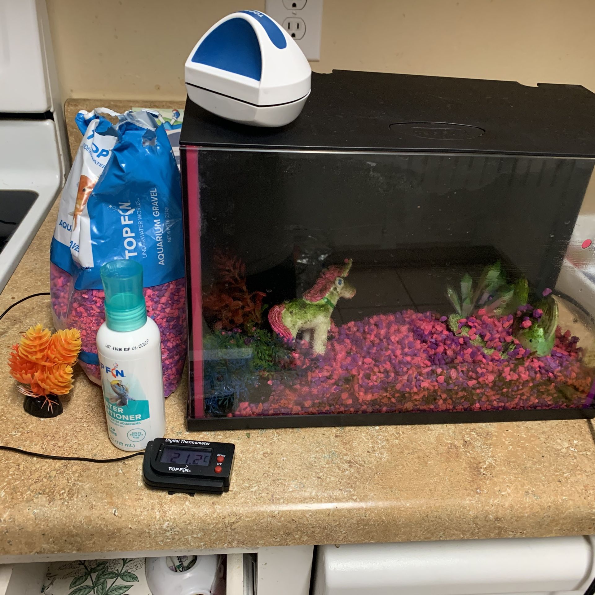 5 Gallon Aquarium with accessories