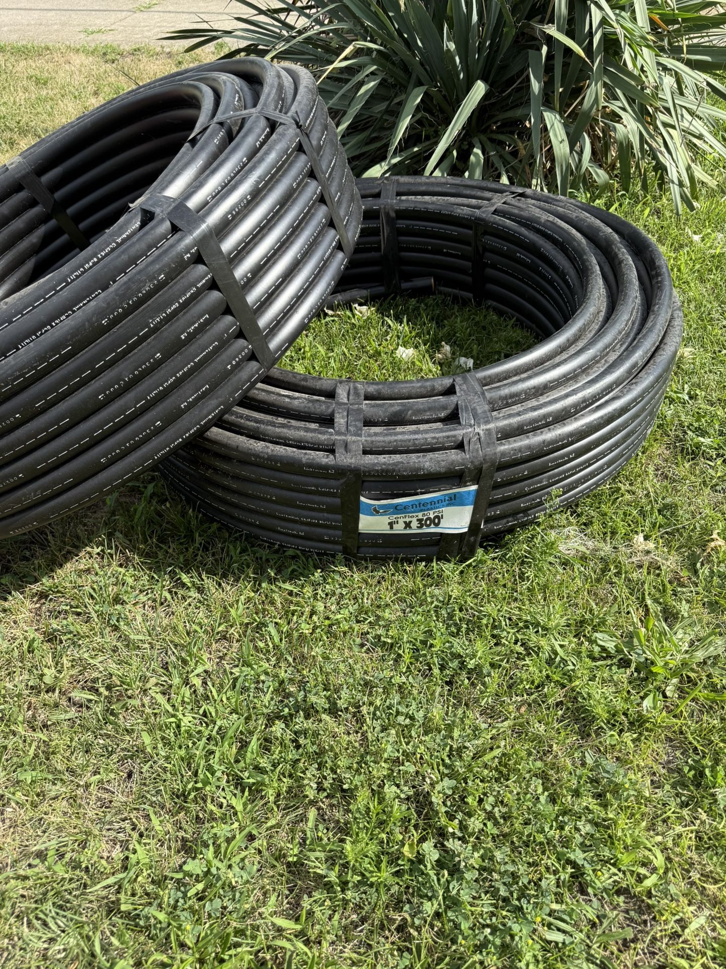 Cenflex 80psi