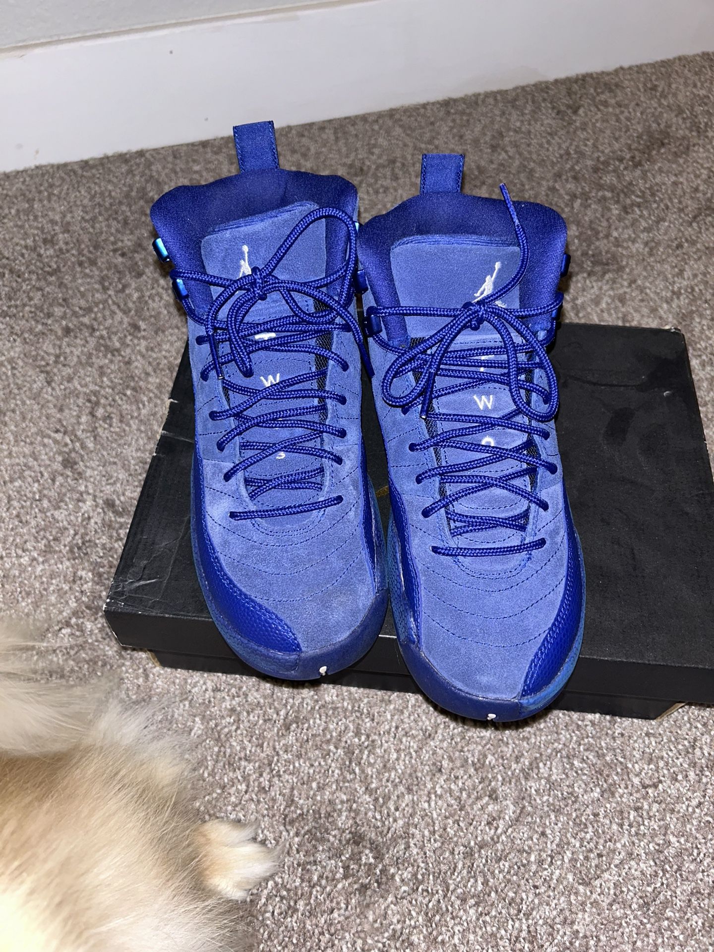 Jordan 12 Retro (Royal Blue)