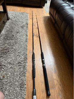 Fishing Rods ( Stick )