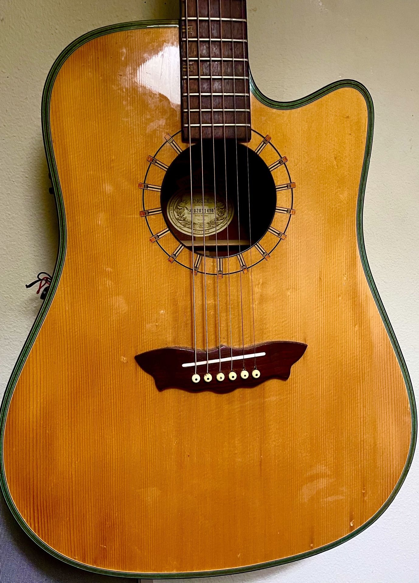 Washburn Acoustic-Electric