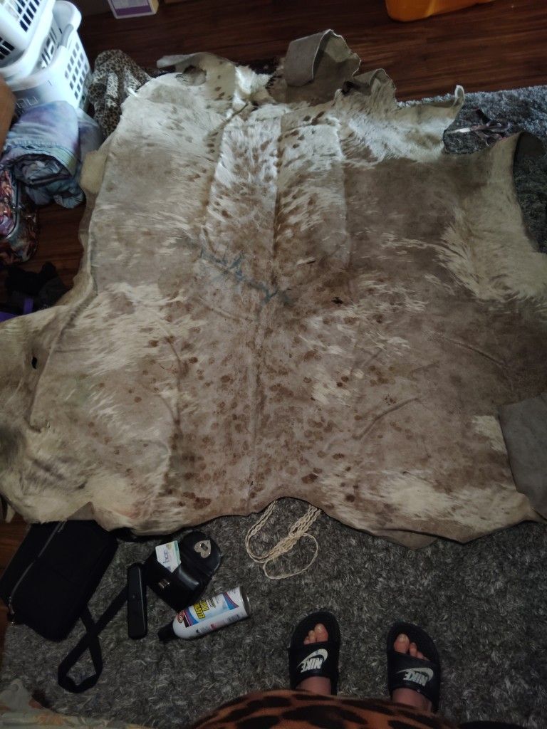 Full Size Unique Appolusa Horse Hide