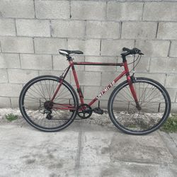 Specialized Road Bike 