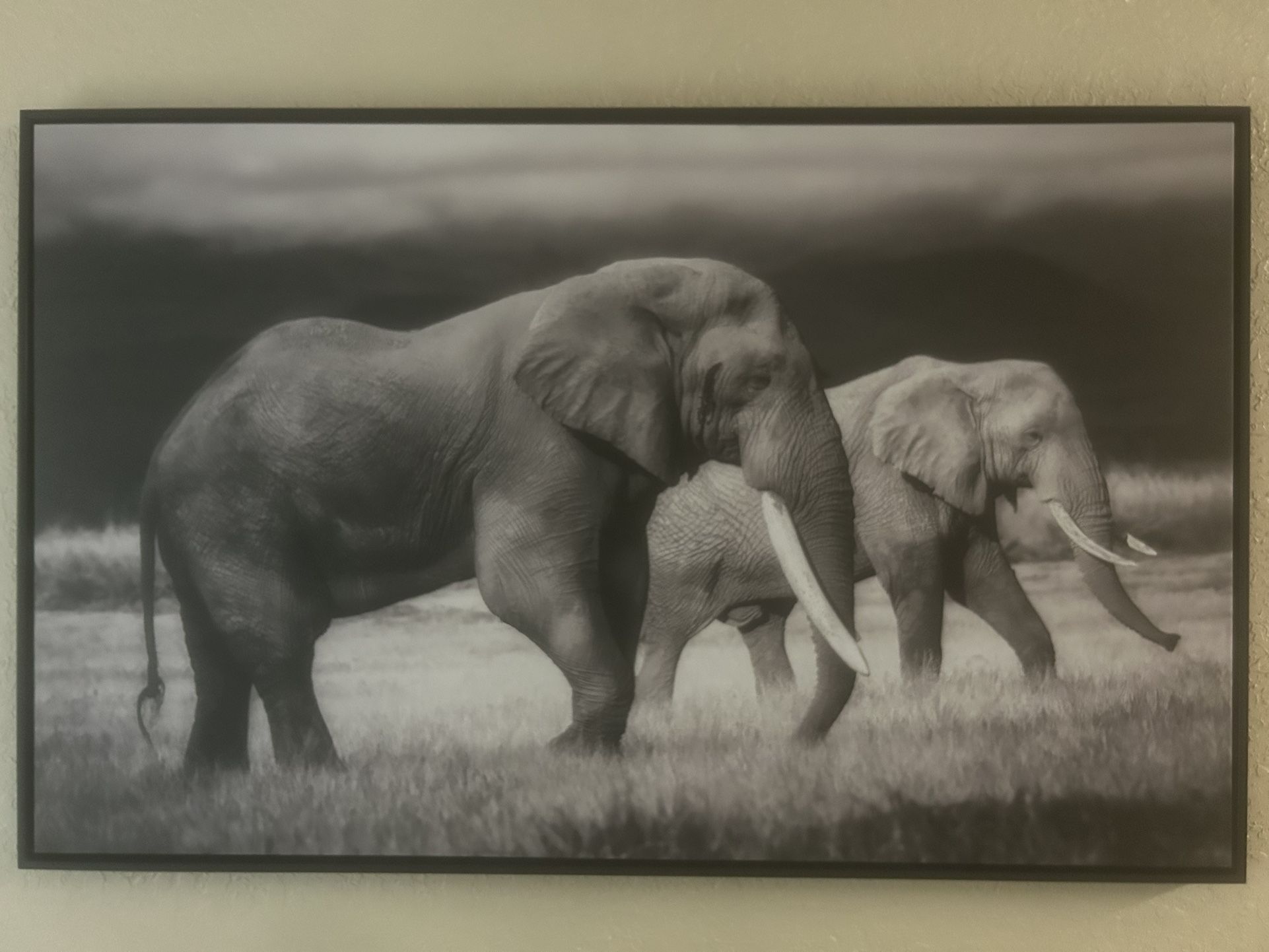 Elephant Artwork