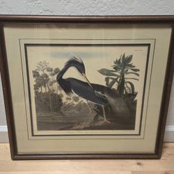 Vtg JJ Audubon Louisiana Heron Framed Art Print #44 Plate CCXVII Havell 22x24"