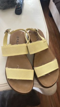 Size 5.5