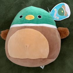 Avery the Mallard Duck 7.5” Squishmallow Plush NWT